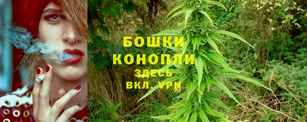 прущие грибы Краснослободск