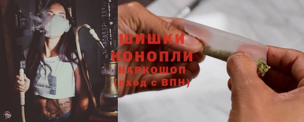 прущие грибы Краснослободск