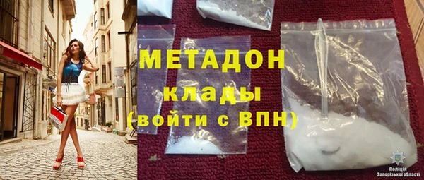 прущие грибы Краснослободск