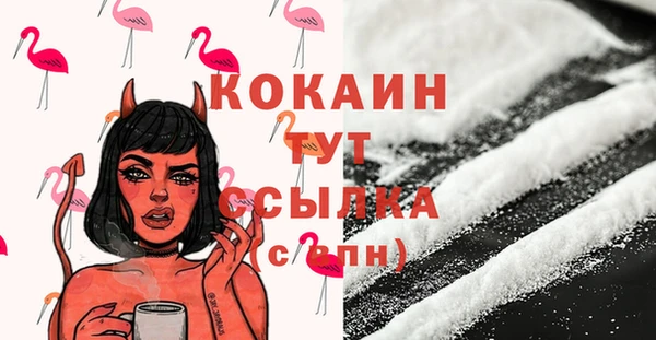 COCAINE Богородицк