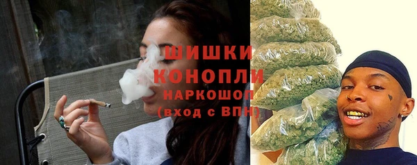 прущие грибы Краснослободск