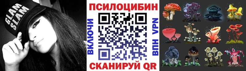 Псилоцибиновые грибы GOLDEN TEACHER  Ногинск 