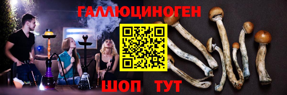 Псилоцибиновые грибы прущие грибы  Вход с VPN  Ногинск 