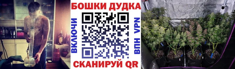 Шишки марихуана Amnesia  наркотики  Ногинск 